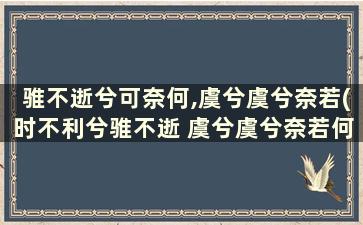 骓不逝兮可奈何,虞兮虞兮奈若(时不利兮骓不逝 虞兮虞兮奈若何)